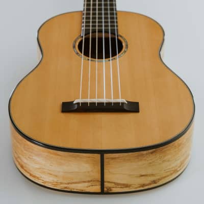 Romero Creations RC-P6-SMG Parlor Guitar Spruce and Spalted Mango "LANAT" Tuned E to E image 4