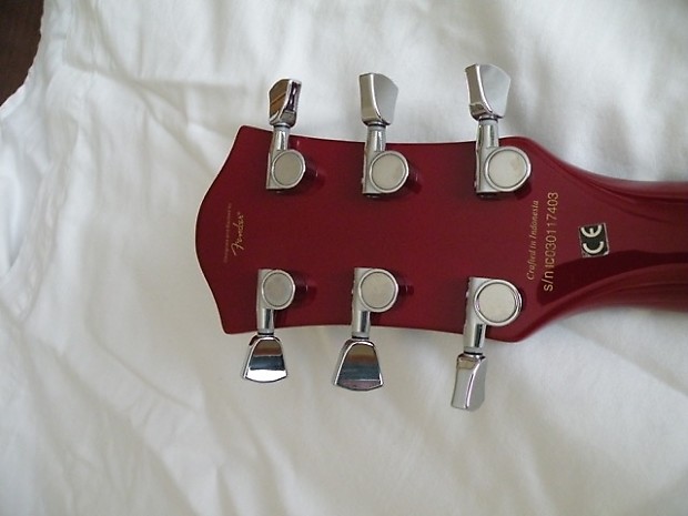 Squire sg deals