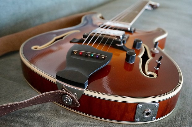Paul languedoc guitar for outlet sale