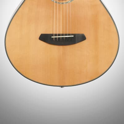 Breedlove Pursuit Concertina E Acoustic/Electric Guitar | Natural Gloss image 1
