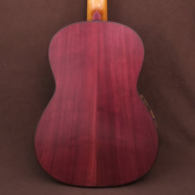 Martin Okenica - op. 24 / 2019, J. L. Romanillos model, cedar top, purpleheart back, oil varnish image 4