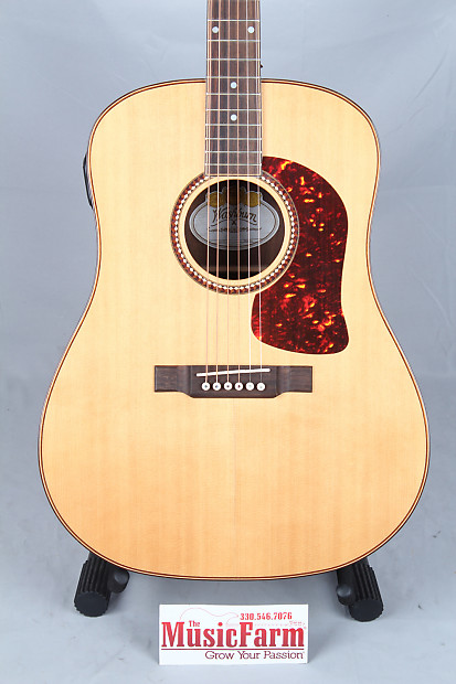 Washburn acoustic guitar with built in tuner sale