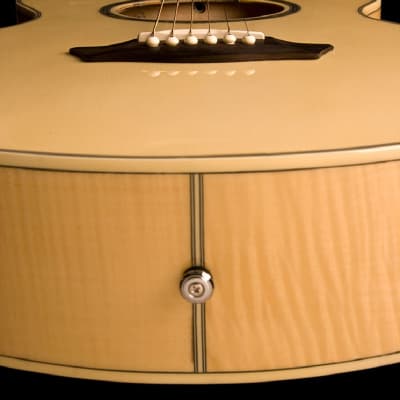 Washburn EA20 Mini Jumbo Acoustic-Electric Guitar image 8