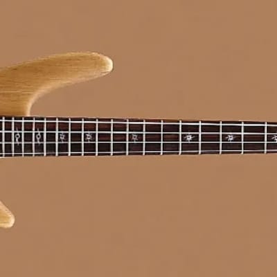 Fishbone 4 String Bass Natural Transparent Awesome bass Guitar Model PB4 ELDC-N image 4