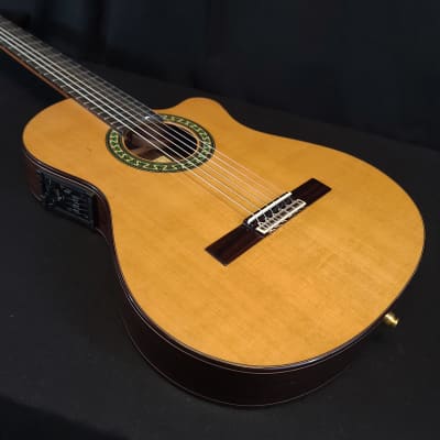 Alhambra 5P CT E2 Thinline Acoustic Electric Classical Nylon String Guitar w/Bag image 10