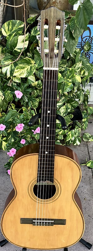 Giannini Model #6 -1966 -Classical Guitar image 1