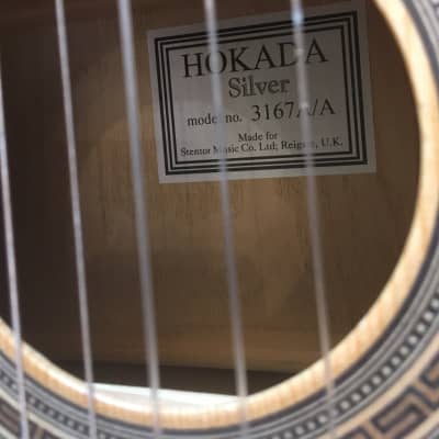 Stunning Hokada Silver Classical Guitar. image 4