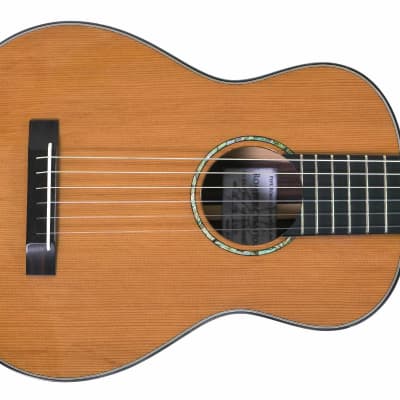 Romero Creations RC-B6-CRW 6 String Nylon Baritone Ukulele/Guitar/Guilele 