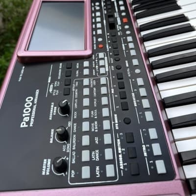 Korg Pa900 with Korg Pa1000 body kit