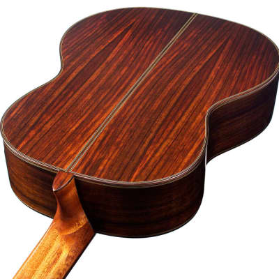 Cordoba C7 SP/IN - Solid Spruce Top/Indian Rosewood back/sides - Classical Nylon String Guitar image 4