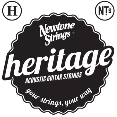 Cuerdas Acústica Newtone Heritage 12-51 12 Strings image 2