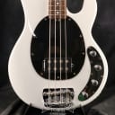 Sterling by MUSIC MAN 2015 Ray 34