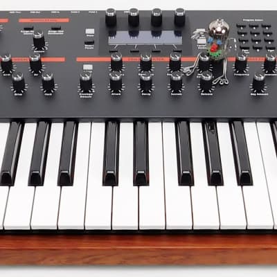 DSI Dave Smith Sequential Prophet 12 Synthesizer + Top Zustand + 1,5J Garantie