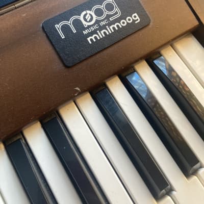 Minimoog Model D Mid- 1970s - Wood / maple image 12