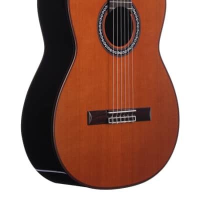 Cordoba Luthier C10 CD Nylon String Acoustic Guitar with Case Cedar Top image 9