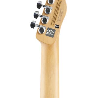 Charvel So-Cal Style 2 24-Fret Guitar Caramelized Maple Neck Ash Body image 7