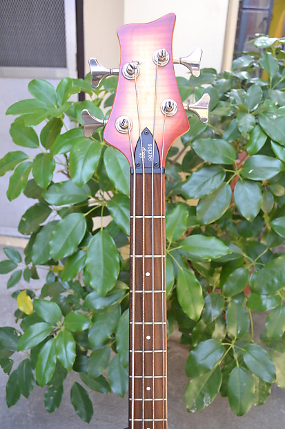 Dame Fall & Pall 300 Active Bass Guitar Flame Maple Top