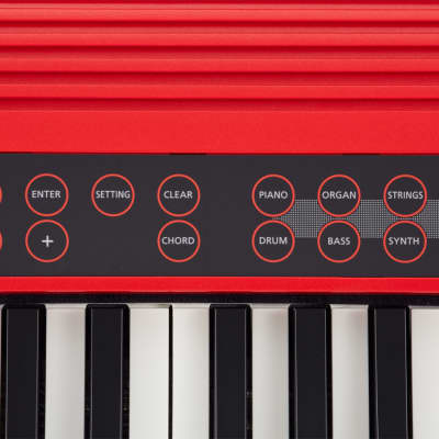 Piano Roland Go:Keys image 12
