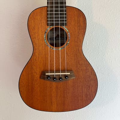 Famous FC 1G Concert Size Mahogany Ukulele | Reverb