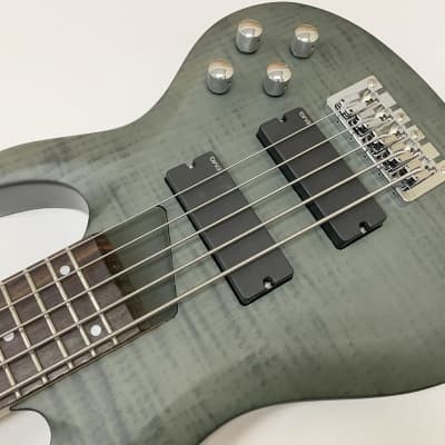 Mirae Custom 5-string Bass guitar 2019 Matt Gray *EMG P/U *Worldwide FAST S/H image 3
