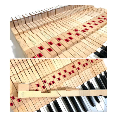 Vintage 1975 Fender RHODES Piano Bass 32-Key Portable Passive Electric Piano w/‘Bump-Mod’ Installed Ambient 70’s Vibes image 9