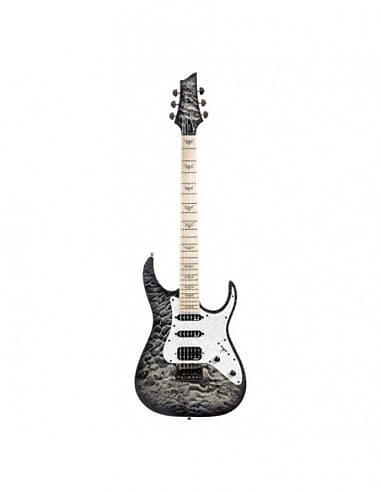 Schecter Banshee Extreme 6 Maple/CB