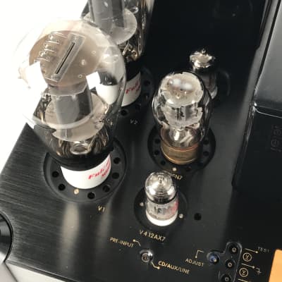 Ariand Audio Auklet 300B The integrated/Power vacuum tube Amplfier image 7