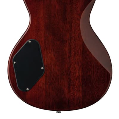 PRS Paul Reed Smith SE 245 Standard Electric Guitar Tobacco Sunburst + PRS Gig Bag BRAND NEW image 3