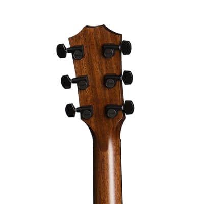 Taylor 324ce Grand Auditorium Acoustic-Electric Guitar - Mahogany Top with Mahogany Back and Sides image 5