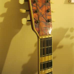 Arnold Hoyer Vintage  c.1960 Sunburst Guitar-Bodied Electro-Mandolin/ Mandolinetto. image 6