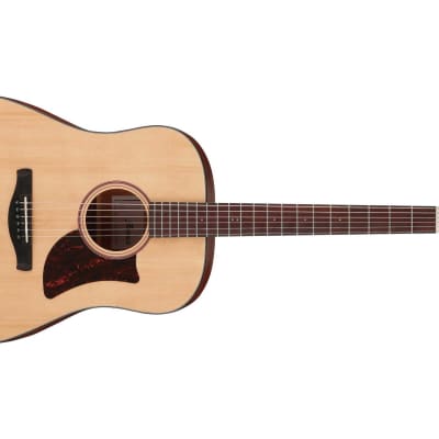 Ibanez AAD100 OPN Advanced Acoustic - Open Pore Natural for sale
