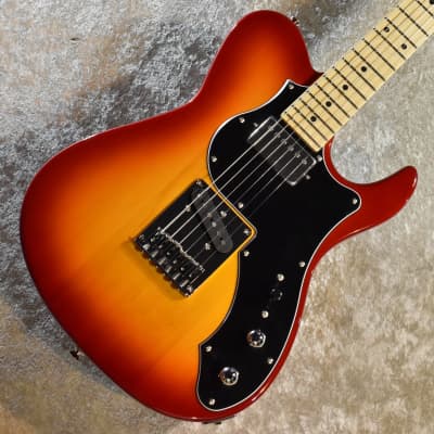 ミュジニー　2004年 Fujigen/FGN BIL2-M-HS-CS Cherry Sunburst 3.53kg #G230146