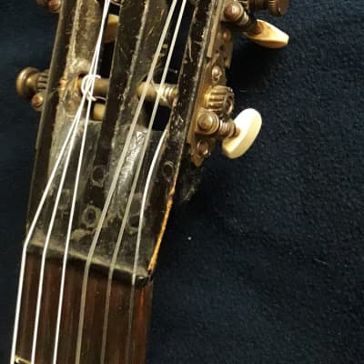 Parlor guitar Brazilian rosewood Germany (1890) image 21