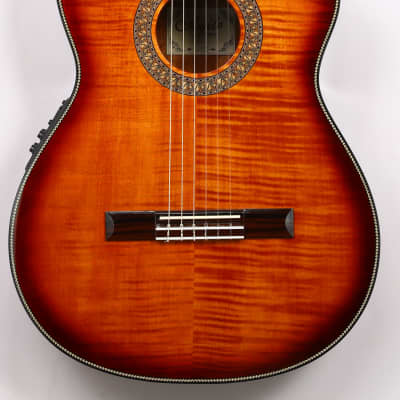 Agile Renaissance 6 String Fretless 625 Classical EQ CUT TigerE Classical Acoustic / Electric Guitar image 1