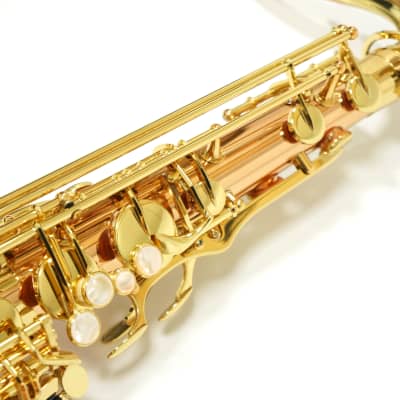 Free shipping! 【Special price】 Yanagisawa T-WO2(TWO2) Bronze Tenor Saxophone image 4