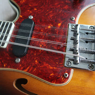 Fender  FM 61 SE Mandolin Pickguard Celluloid  2000's Tortoise image 9