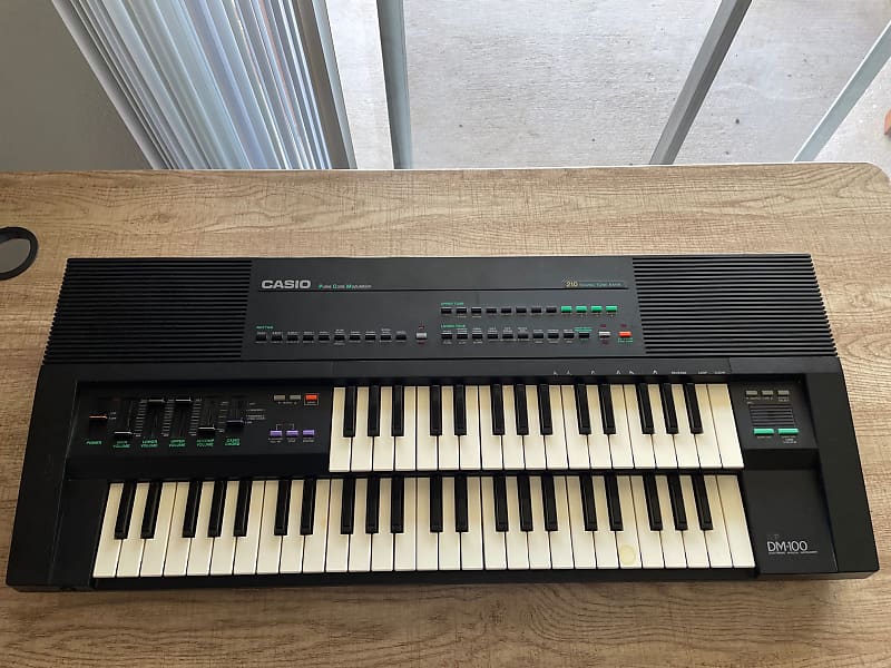 Casio DM100 Dual Keyboard Reverb