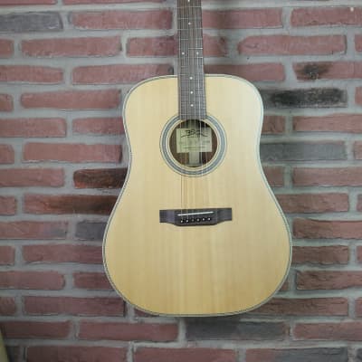 BSG D10F Westerngitarre for sale