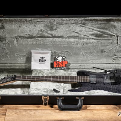 ESP LTD BUZ-7 Buz McGrath 7-String Floyd Rose Guitar w/ Case – See Thru Black image 9