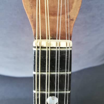 Francesco Olivieri Mandolino image 11