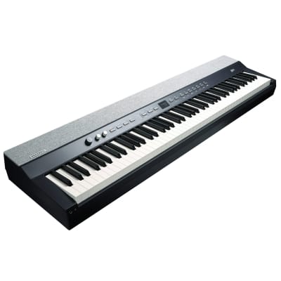 Kurzweil KaP1 LB image 2