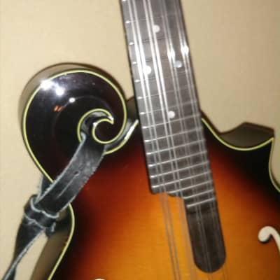 Furch MF 22SF mandolin with K&K pickup and hard shell case image 6