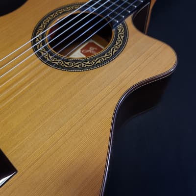 Jose Ramirez Estudio Studio Cutaway 1 Nylon String Classical Guitar w/ Logo'd Hard Case image 6