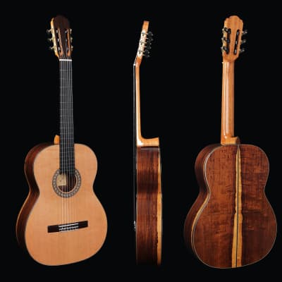 WINZZ&YuLong Guo co-branded  Solid Cedar Classical Guitar for sale