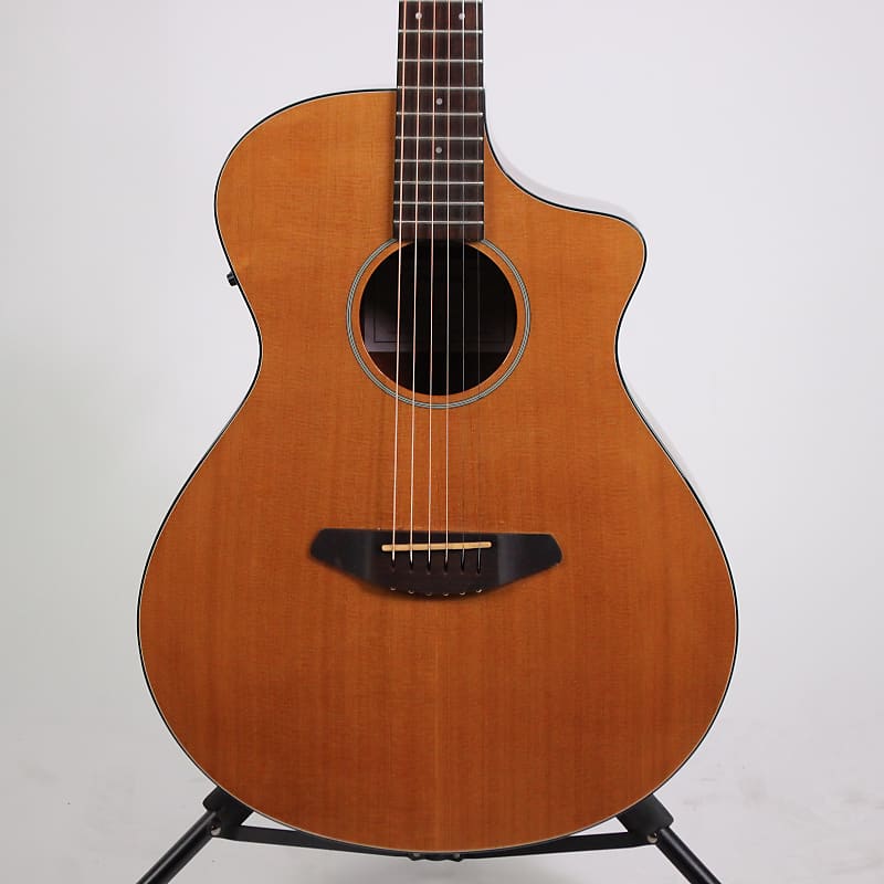 Breedlove passport online plus concert