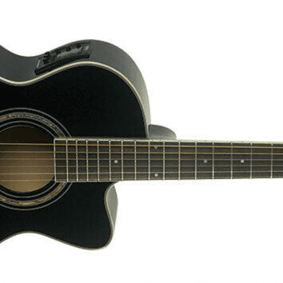 Washburn Festival Petite Jumbo Acoustic Electric Guitar - Black - EA10B image 2