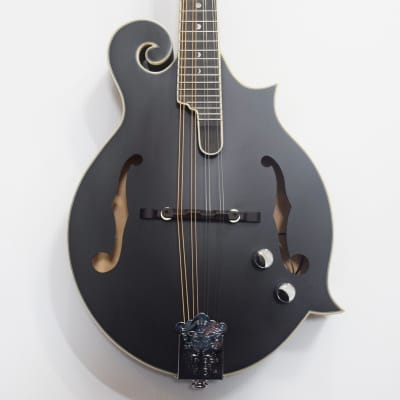 Luna Moonbird F-Style Acoustic-Electric Mandolin - Black Satin for sale