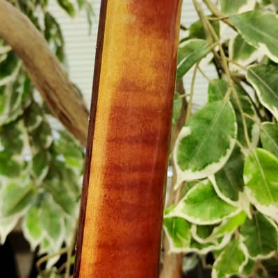 Art & Lutherie 12-String Cedar Antique Burst Acoustic Guitar w/ Hard Case image 15