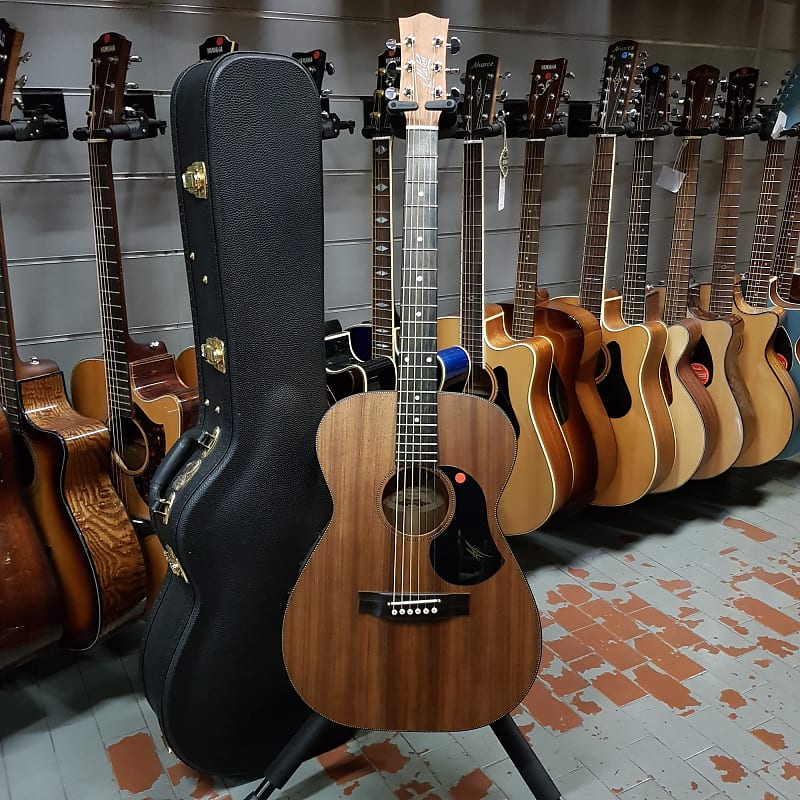 Maton Ebw808 Blackwood Series  | Reverb