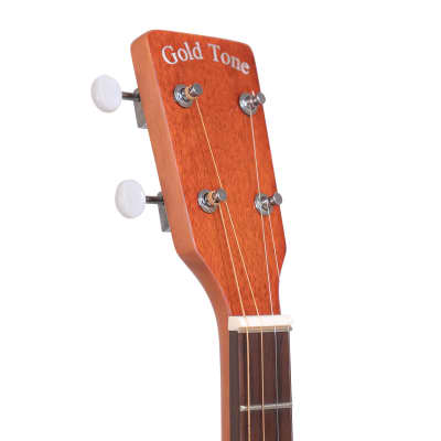 Gold Tone TG-18/L Mahogany Neck 4-String Acoustic Tenor Guitar w/Vintage Design & Gig Bag For Lefty image 6